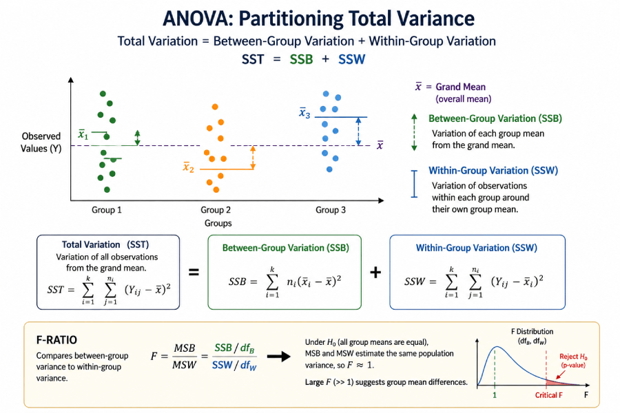 Diagram showing how ANOVA partitions total variance into between-group variance (SSB) and within-group variance (SSW), with an F-ratio arrow